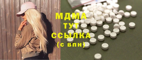 индика Богородск
