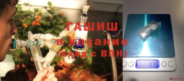 индика Богородск