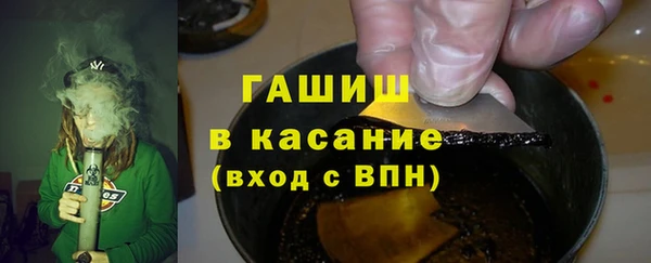 индика Богородск