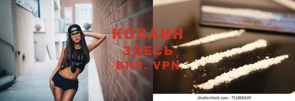 индика Богородск