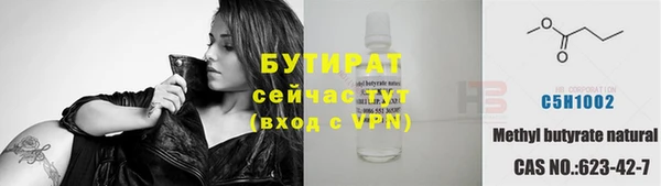 индика Богородск