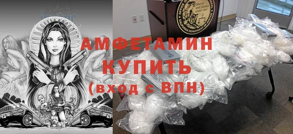 индика Богородск