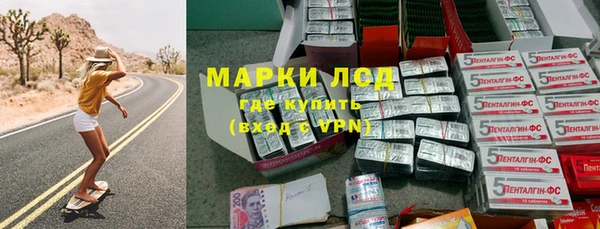 индика Богородск