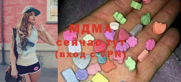 индика Богородск