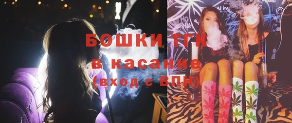 гашик Богородицк