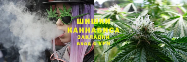 стаф Верхний Тагил